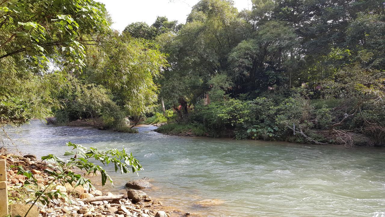 Khao Sok Jungle Hostel Khao Sok National Park Екстериор снимка